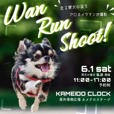 【予約受付中】Wan Run Shoot!