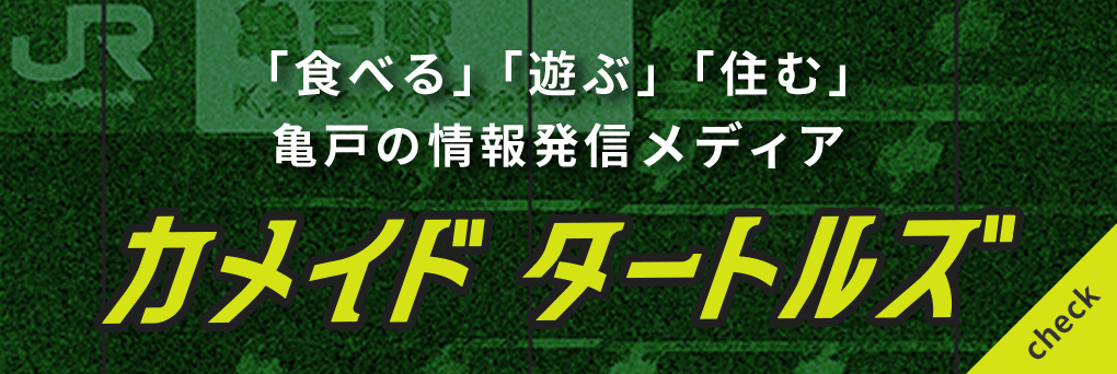 KAMEIDO tutrles カメイドタートルズ