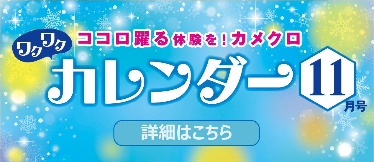 11月イベントカレンダー