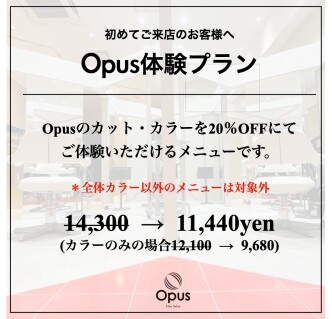 Opusの新生活応援プラン