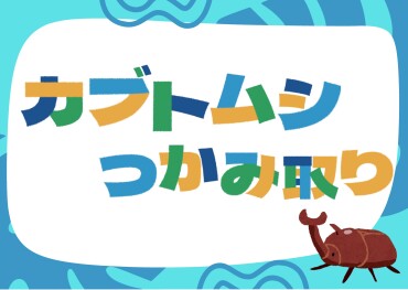 都会で自然体験！カブトムシを捕まえよう！