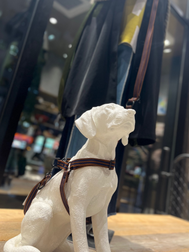 【NEW ARRIVAL】HOSU 犬具入荷🐶