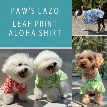  【paw'slazo】spring&summer collection