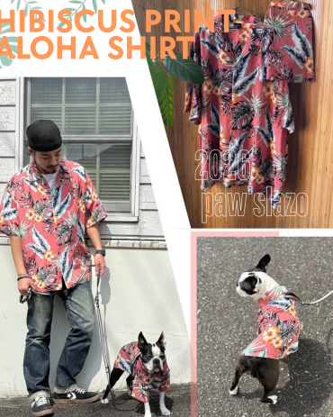 paw'slazo2026SS collection!