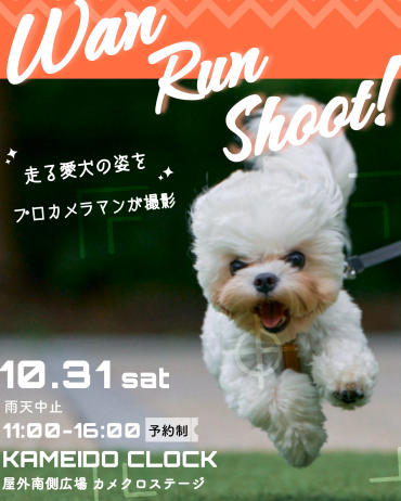 【10/31(土)開催】Wan Run Shoot! vol.7