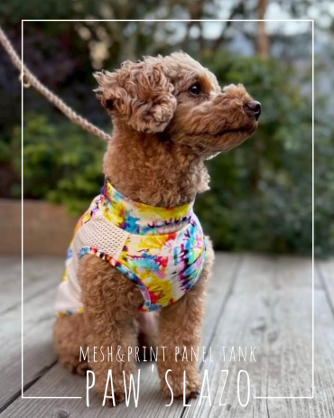 paw'slazo2026SS collection!