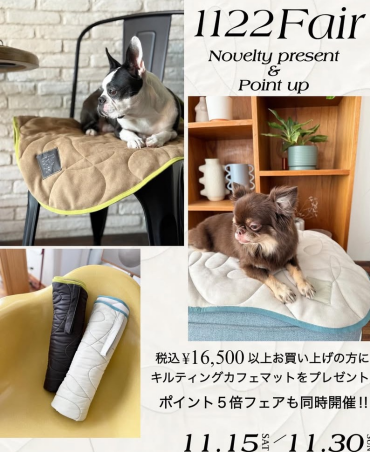 11/15〜🐶1122FAIR🐱開催！