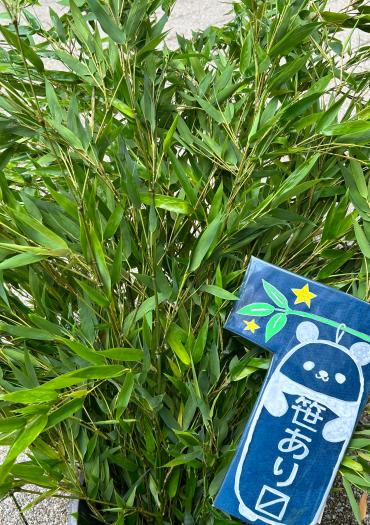 ７月７日七夕🎋