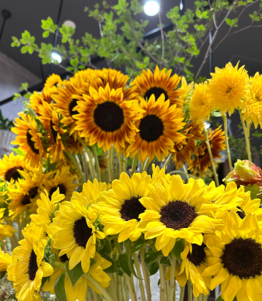 🌻LAST SUNFLOWER🌻