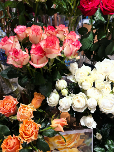 ６月２日はローズの日🌹
