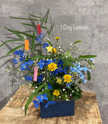 🎋1Day Lesson🎋