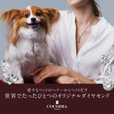 【ジュエリーご紹介】🐶ココディア・ダイヤモンド🐶