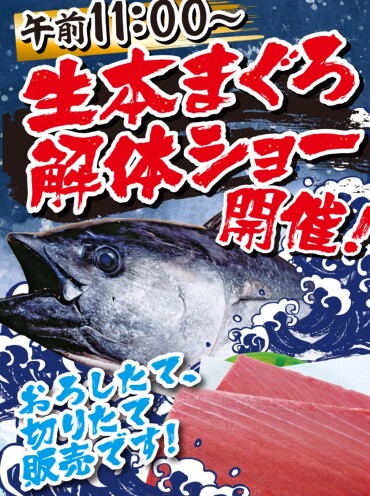 鮮魚専門店　本庄鮮魚　生本まぐろ解体ショー 【10月7日（日）11時 ＠本庄鮮魚特設コーナー】