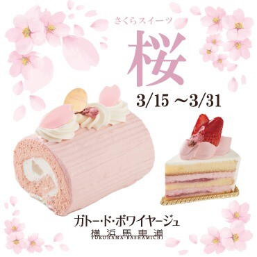 期間限定ケーキのご紹介🌸