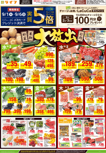  「野菜果物・お肉大放出」