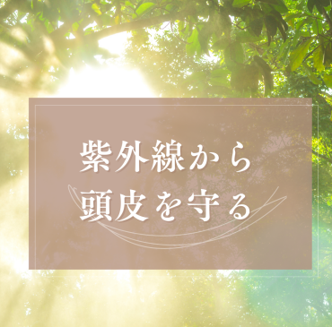 5月の紫外線対策に 頭皮のエイジングケア