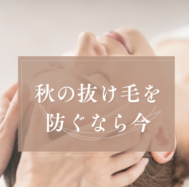 【40代からの頭皮ケア】  抜け毛が気になる前に始めたい大事なこと