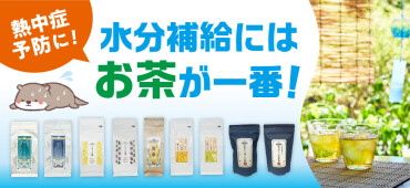 暑い夏にピッタリの美味しい水出し茶はいかがですか😊✨